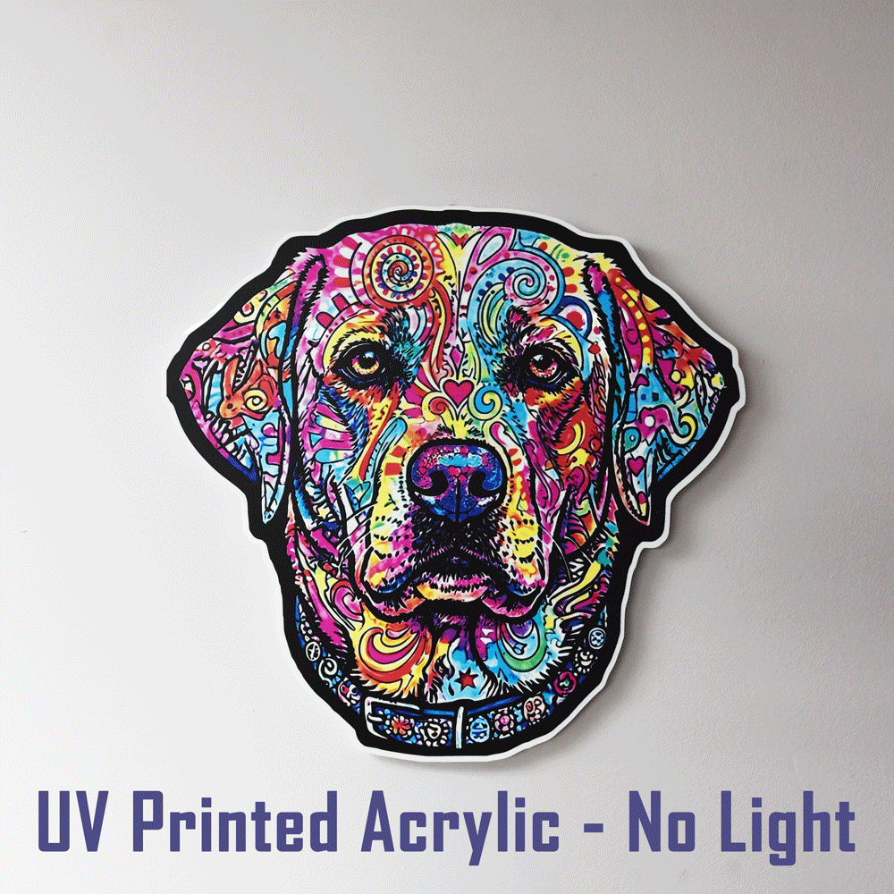 A colorful dog head acrylic UV printed vibrant psychedelic pattern, shown on a plain light gray background with the text 'UV Printed Acrylic - No Light' at the bottom.