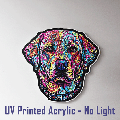 A colorful dog head acrylic UV printed vibrant psychedelic pattern, shown on a plain light gray background with the text 'UV Printed Acrylic - No Light' at the bottom.