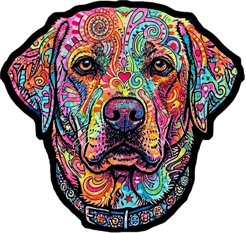 Arlo – English Lab 14” LED Light Up Sign