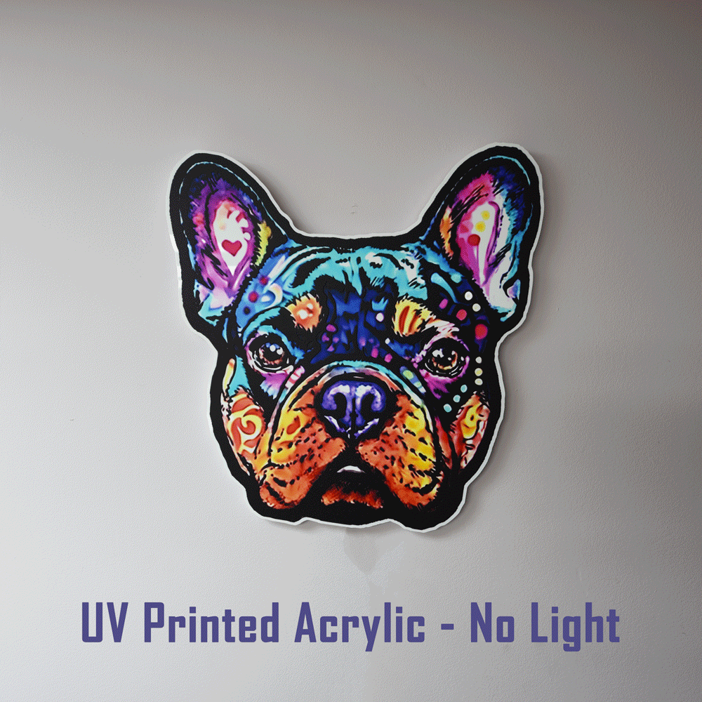Louis French Bulldog Acrylic Wall Art | Premium LED Light-Up or Standard UV Print | Handmade USA