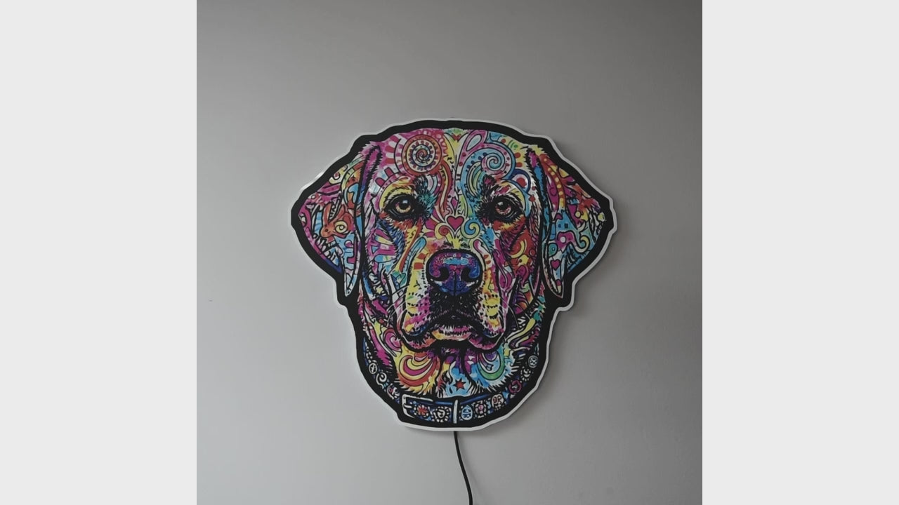 A colorful LED neon-style wall light shaped like an English Lab head, featuring a vibrant multicolor pattern on a black base, mounted against a dark gray wall with a warm glow around the edges when sign is turned on.