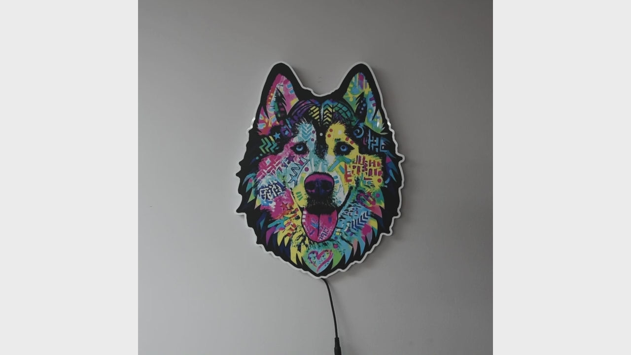 A colorful LED wall light shaped like a wolf or husky head, glowing against a dark gray wall turned on and off in a lighted and dark rooms. The design features a vibrant, multicolored graffiti-style pattern with pink, blue, yellow, and green details, and a black outline.